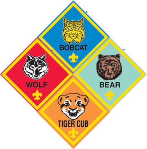 bobcat badge placement